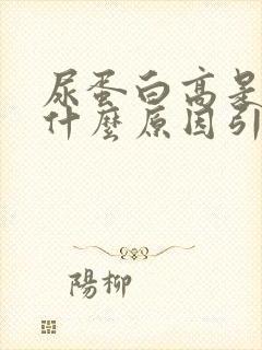 尿蛋白高是由于什么原因引起的