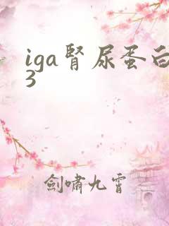 iga肾尿蛋白3