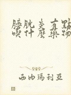 膀胱炎有点尿血吃什么药物治疗