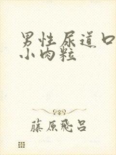 男性尿道口里有小肉粒