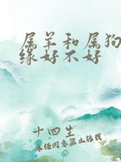 属羊和属狗配姻缘好不好