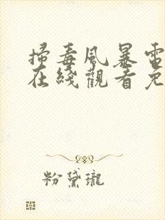 扫毒风暴电视剧在线观看免费完整版国语