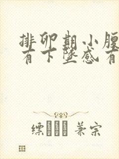 排卵期小腹胀痛有下坠感有大便感