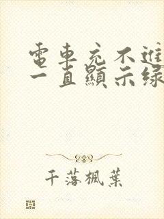 电车充不进去电一直显示绿灯