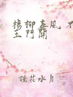 杨柳春风 不度玉门关