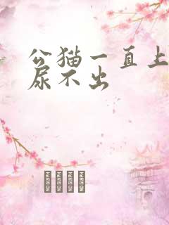 公猫一直上厕所尿不出