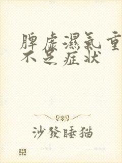 脾虚湿气重气血不足症状