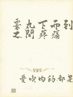 睾丸下面到肛门之间疼痛