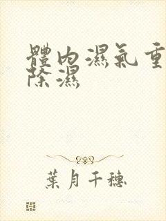 体内湿气重如何除湿