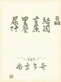 尿里有结晶高是什么原因