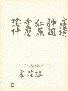 阴囊红肿瘙痒是什么原因造成的