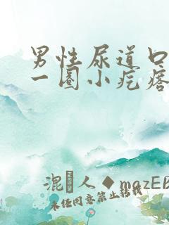 男性尿道口长了一圈小疙瘩