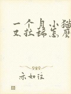 一个月小猫又吐又拉稀怎么办