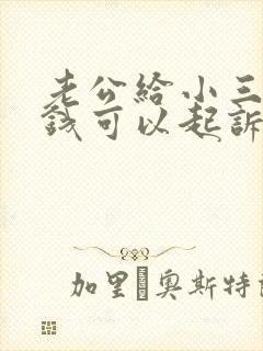 老公给小三多少钱可以起诉要回来