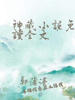 神藏小说免费阅读全文