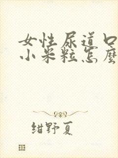 女性尿道口边起小米粒怎么回事啊