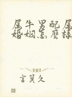 属牛男配属龙女婚姻怎么样