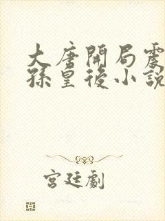 大唐开局震惊长孙皇后小说全文阅读