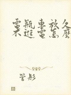 电瓶车放久了充不进电怎么办