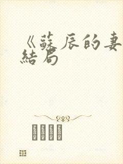 《苏辰的妻子》结局