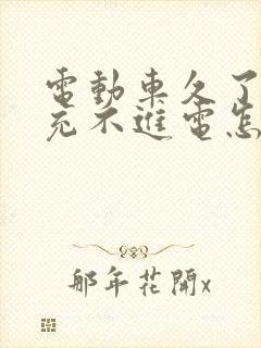 电动车久了不骑充不进电怎么办