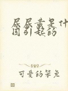 尿尿黄是什么原因引起的