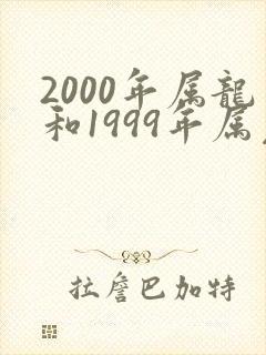 2000年属龙和1999年属兔姻缘如何