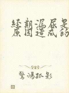 经期漏尿是什么原因造成的