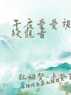 午夜爱爱视频在线观看