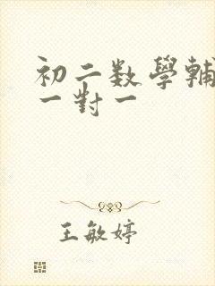 初二数学辅导班一对一