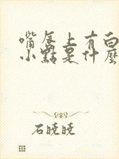 嘴唇上有白色的小点是什么原因