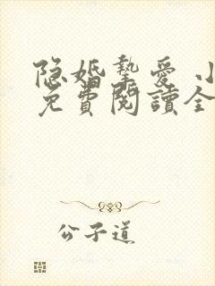 隐婚挚爱 小说免费阅读全文