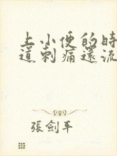 上小便的时候尿道刺痛还流血