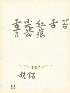 舌尖红舌苔黄腻有齿痕