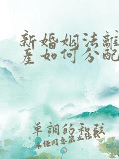 新婚姻法离婚财产如何分配