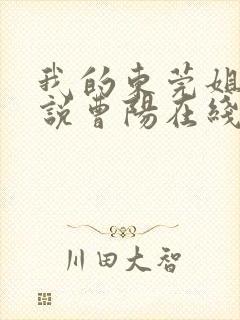 我的东莞姐姐小说曹阳在线阅读