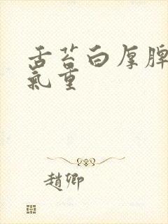 舌苔白厚脾虚湿气重