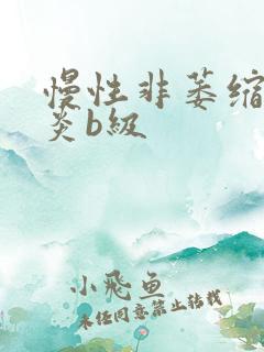 慢性非萎缩性胃炎b级