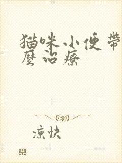 猫咪小便带血怎么治疗