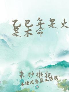 乙巳年是火命还是木命