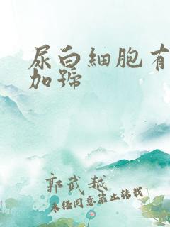 尿白细胞有一个加号