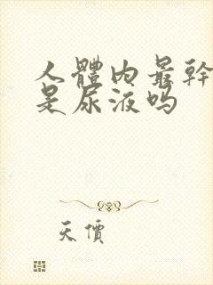 人体内最干净的是尿液吗