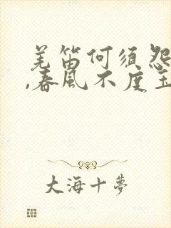 羌笛何须怨杨柳,春风不度玉门关什么意思