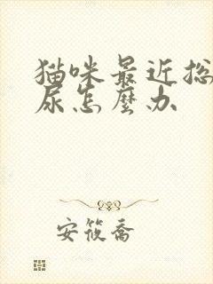 猫咪最近总是乱尿怎么办