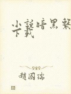 小说暗黑系暖婚下载