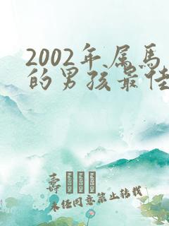 2002年属马的男孩最佳配偶
