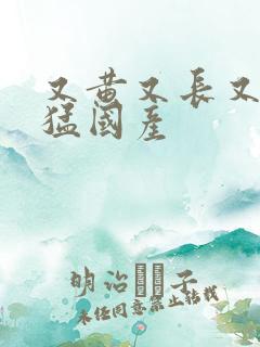 又黄又长又大粗猛国产