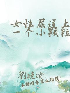 女性尿道上长了一个小颗粒