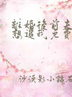 离婚后前夫总是想追我免费阅读全文章节