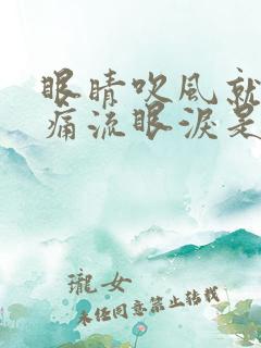 眼睛吹风就会刺痛流眼泪是怎么回事